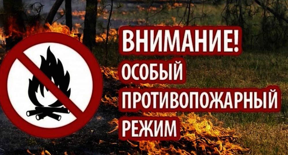 Безопасность превыше всего