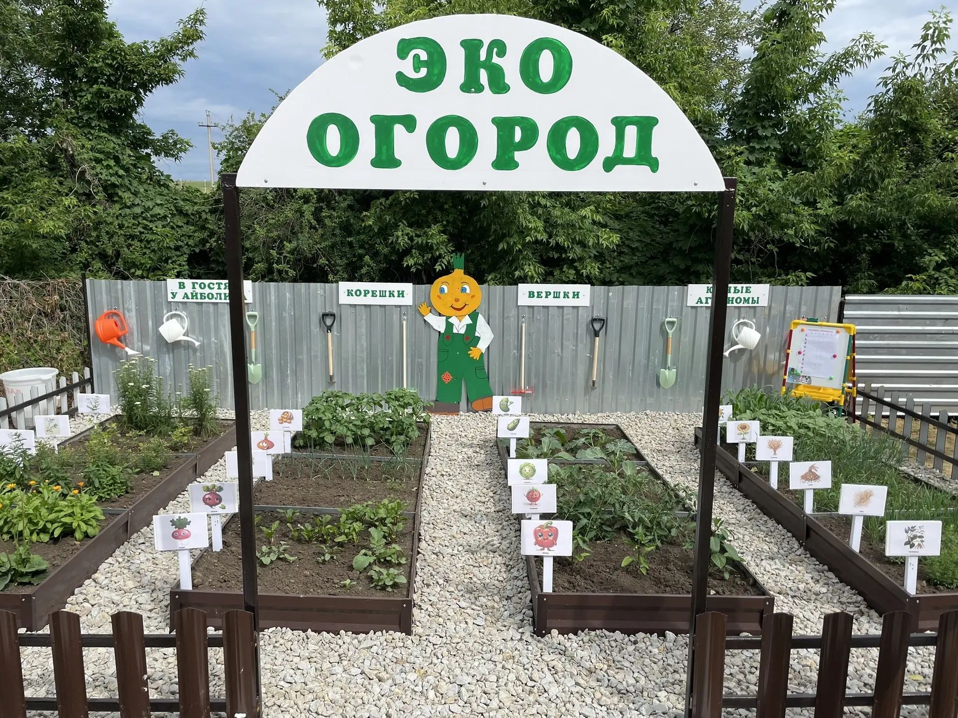 Эко-огород в детском саду села Старая Жуковка учит не только труду, но и развивает исследовательские и творческие способности